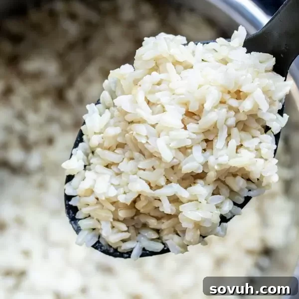 Perfectly cooked Instant Pot Brown Rice in a bowl, ready to serve.