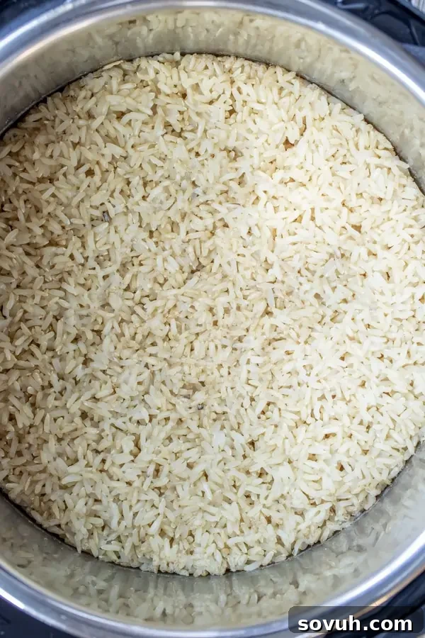 Fluffy brown rice in an Instant Pot, freshly cooked.