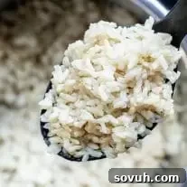 Perfectly cooked Instant Pot Brown Rice.