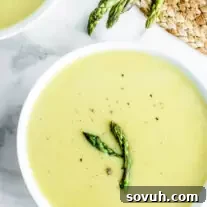 A vibrant bowl of creamy asparagus soup, garnished with fresh herbs, ready to be enjoyed.