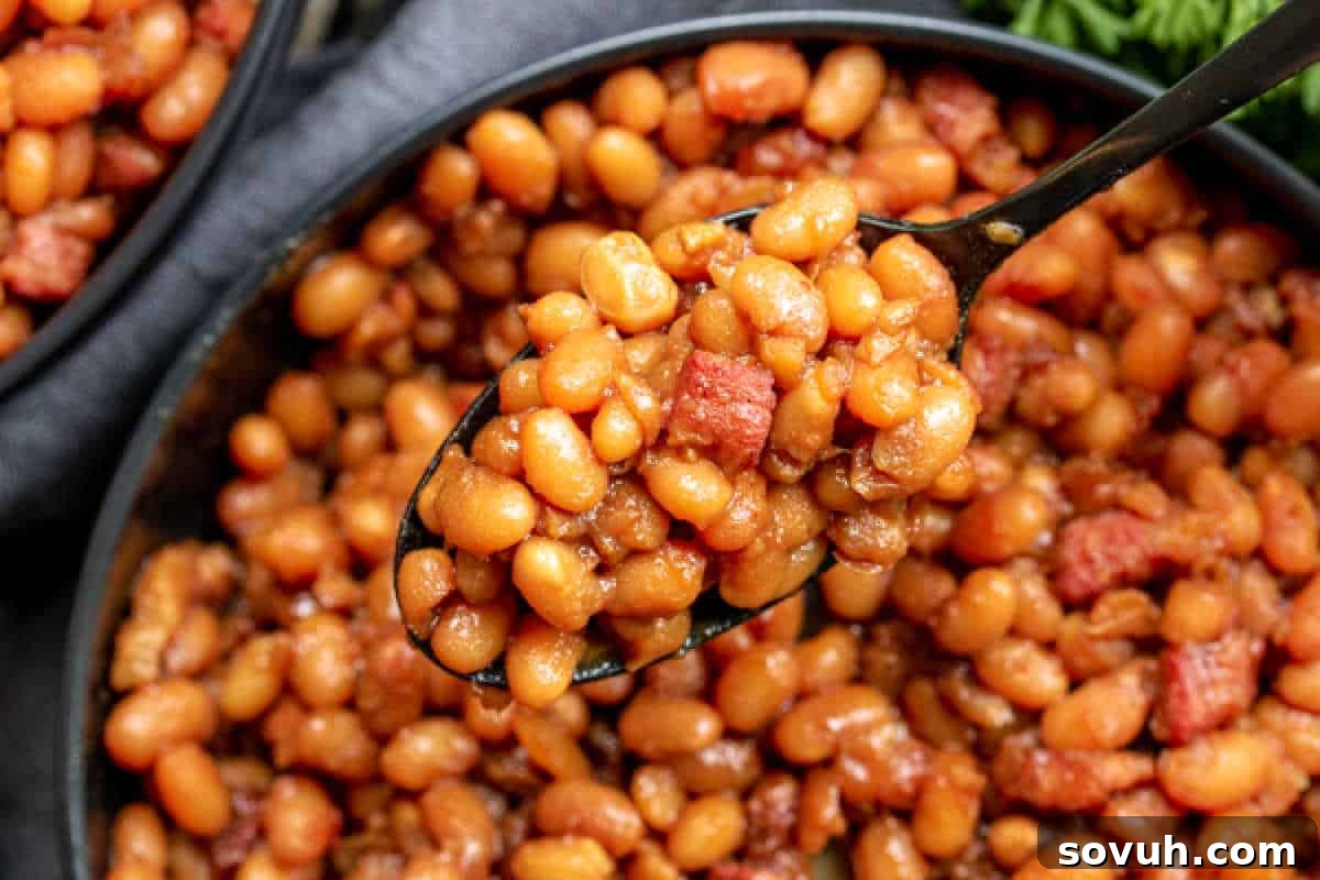 Close-up of a spoonful of rich, glossy baked beans with tender pieces of salt pork being held above a pot filled with the same dish, highlighting the classic Boston baked bean texture and appeal.