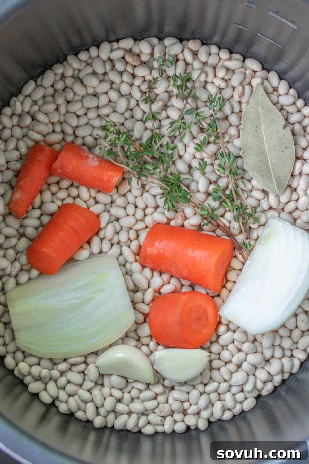 Dry white navy beans with chopped carrots, halved onion, garlic cloves, fresh thyme sprigs, and a bay leaf, arranged in a cooking pot, ready for the Instant Pot.
