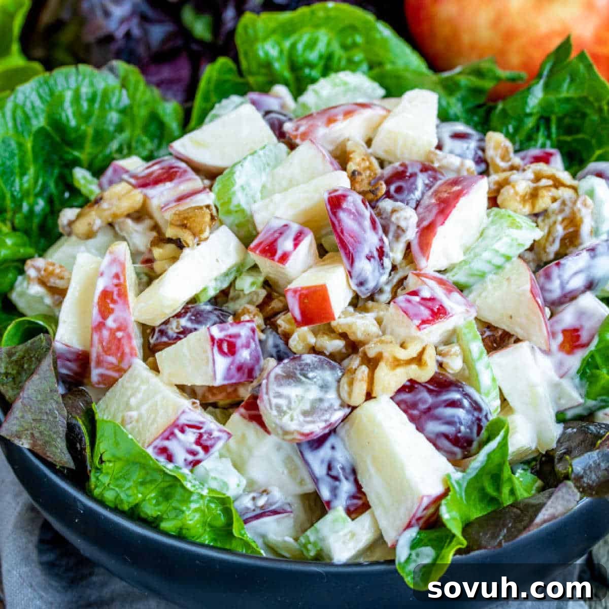 A beautifully presented bowl filled with classic Waldorf Salad, featuring crisp apples, vibrant red grapes, and walnuts, all coated in a creamy dressing.