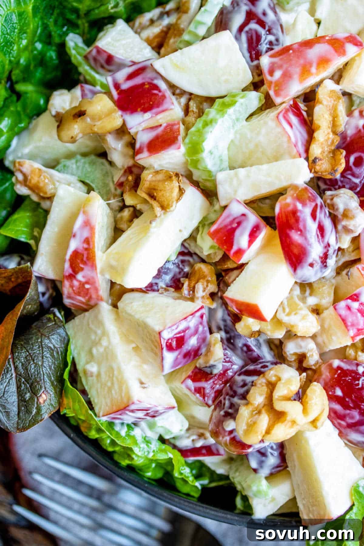 Close-up of Waldorf Salad showcasing the crisp apple chunks and juicy red grapes with a creamy dressing.