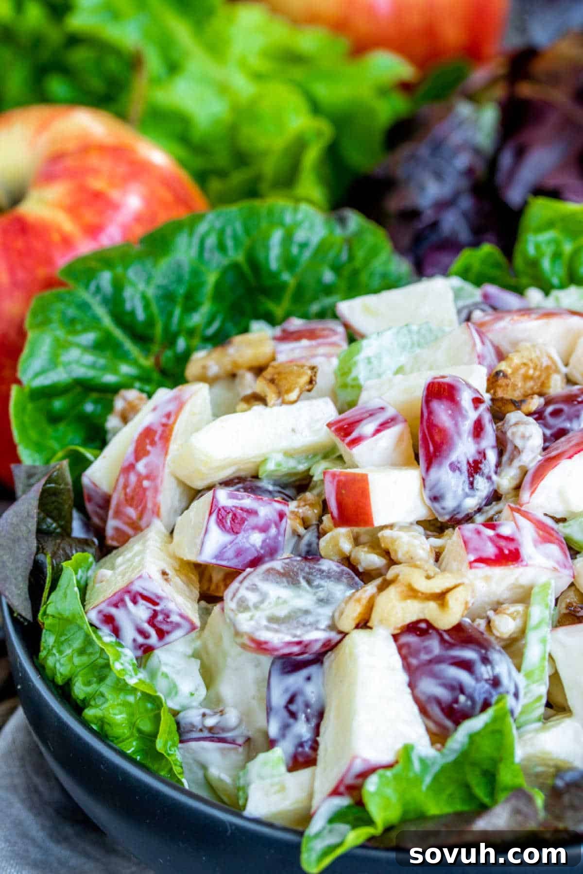 Waldorf Salad presented beautifully with a mix of apples, grapes, celery, and walnuts on a bed of fresh greens.