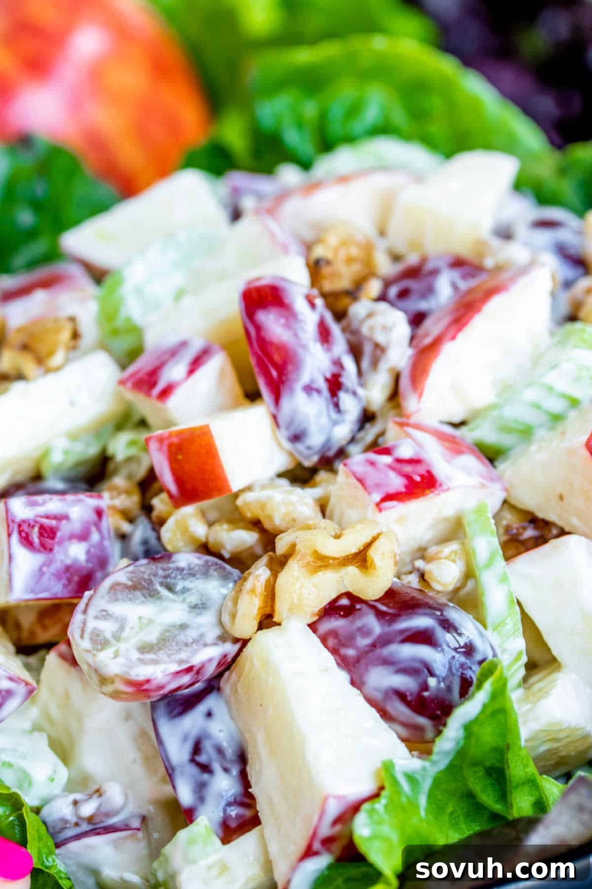 A serving of Waldorf Salad featuring prominent apples, grapes, and walnuts, perfectly mixed.