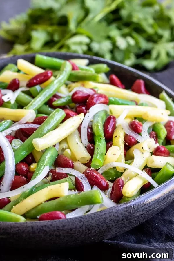 A bowl of fresh Three Bean Salad garnished with fresh herbs, ready to be served at a summer potluck.