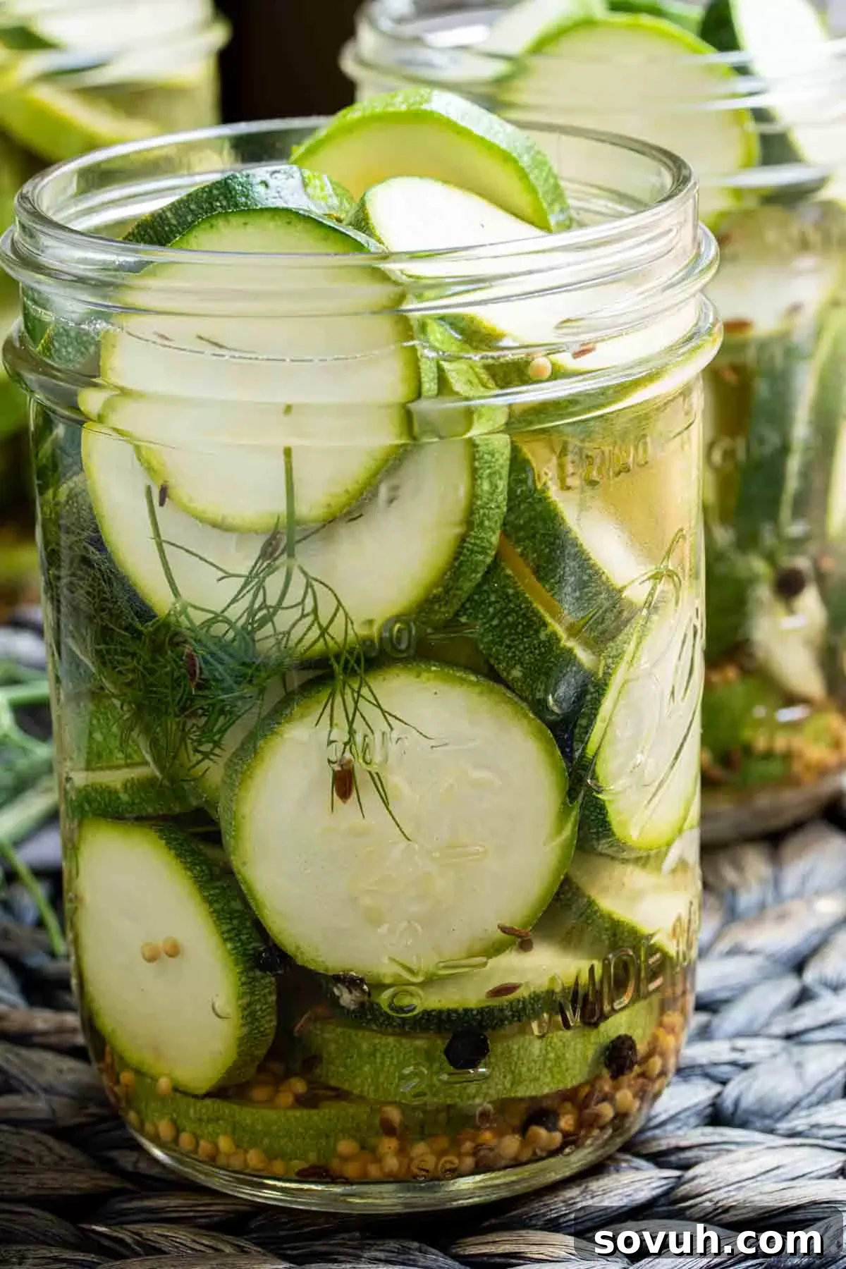 A single mason jar filled with Quick Pickled Zucchini slices, garnished with fresh dill, ready for refrigeration.