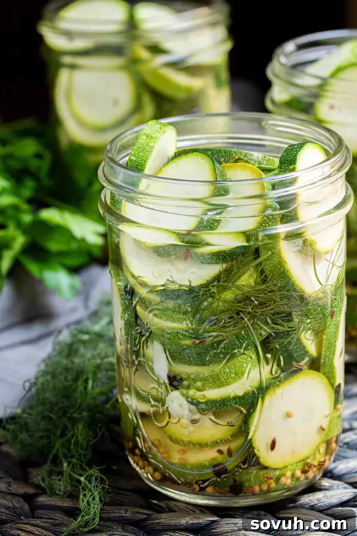 Four mason jars filled with brightly colored Quick Pickled Zucchini slices and fresh dill, ready for enjoyment.