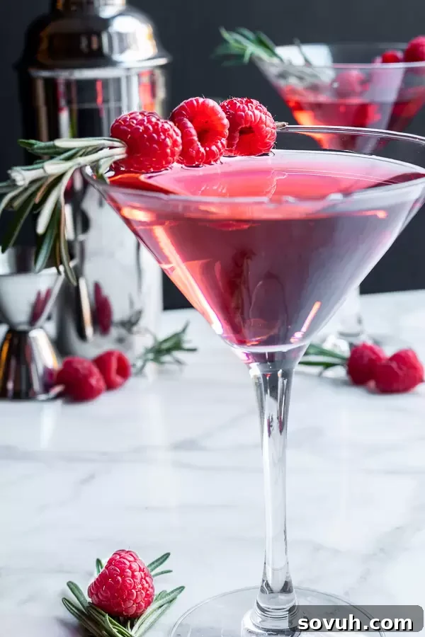 Luscious Raspberry Martini 4 Raspberry Martini garnished with fresh raspberries, ready to be enjoyed as a refreshing and sweet cocktail.
