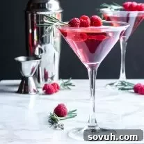 Luscious Raspberry Martini 6 Raspberry Martini garnished with raspberries