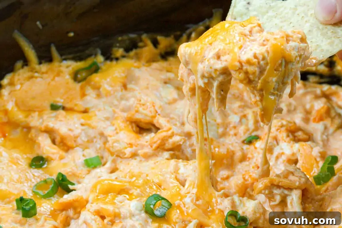 A tortilla chip scooping cheesy buffalo chicken dip garnished with fresh green onions, showcasing its creamy texture.