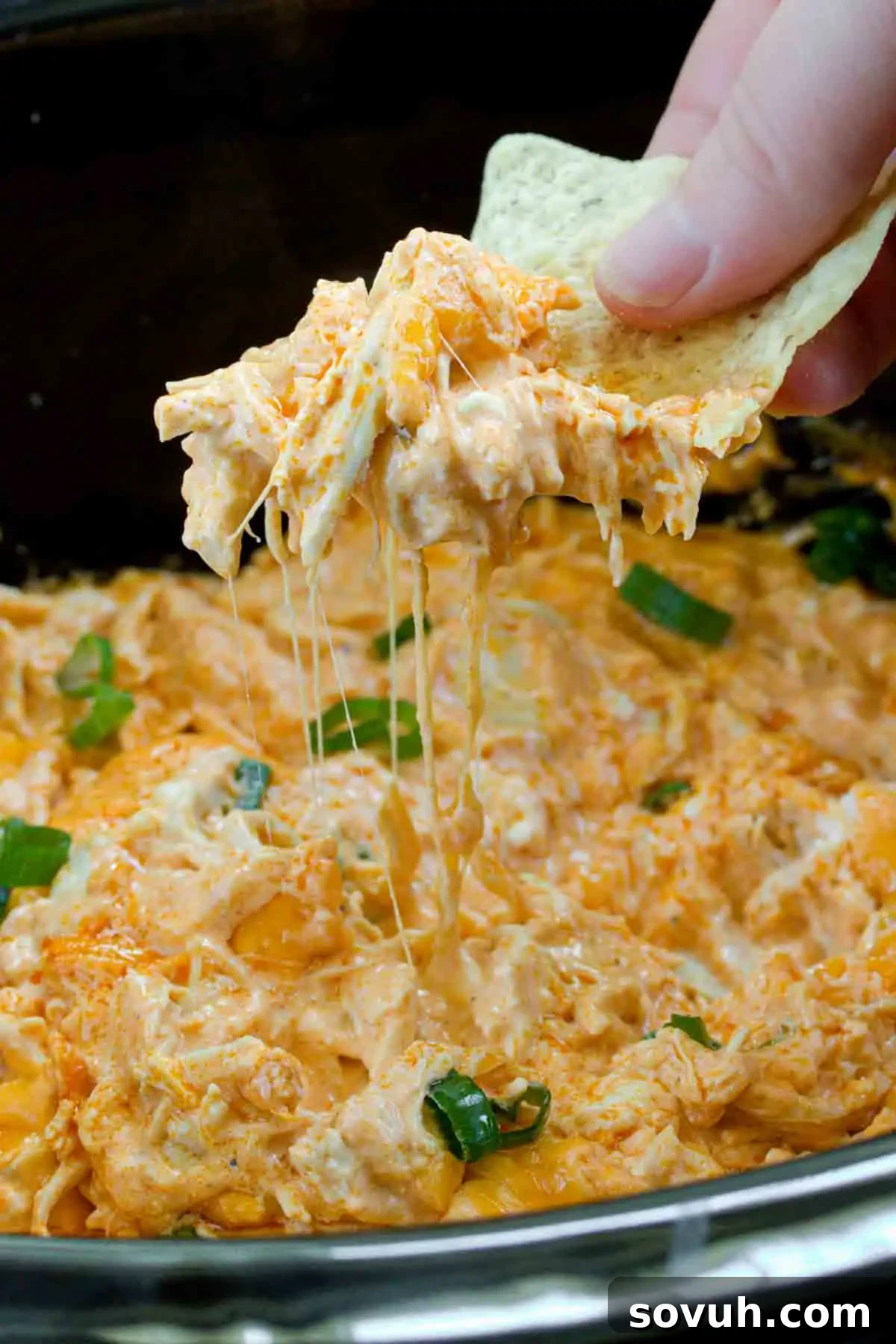 A hand dipping a crispy tortilla chip into a generous serving of cheesy buffalo chicken dip, garnished with green onions.