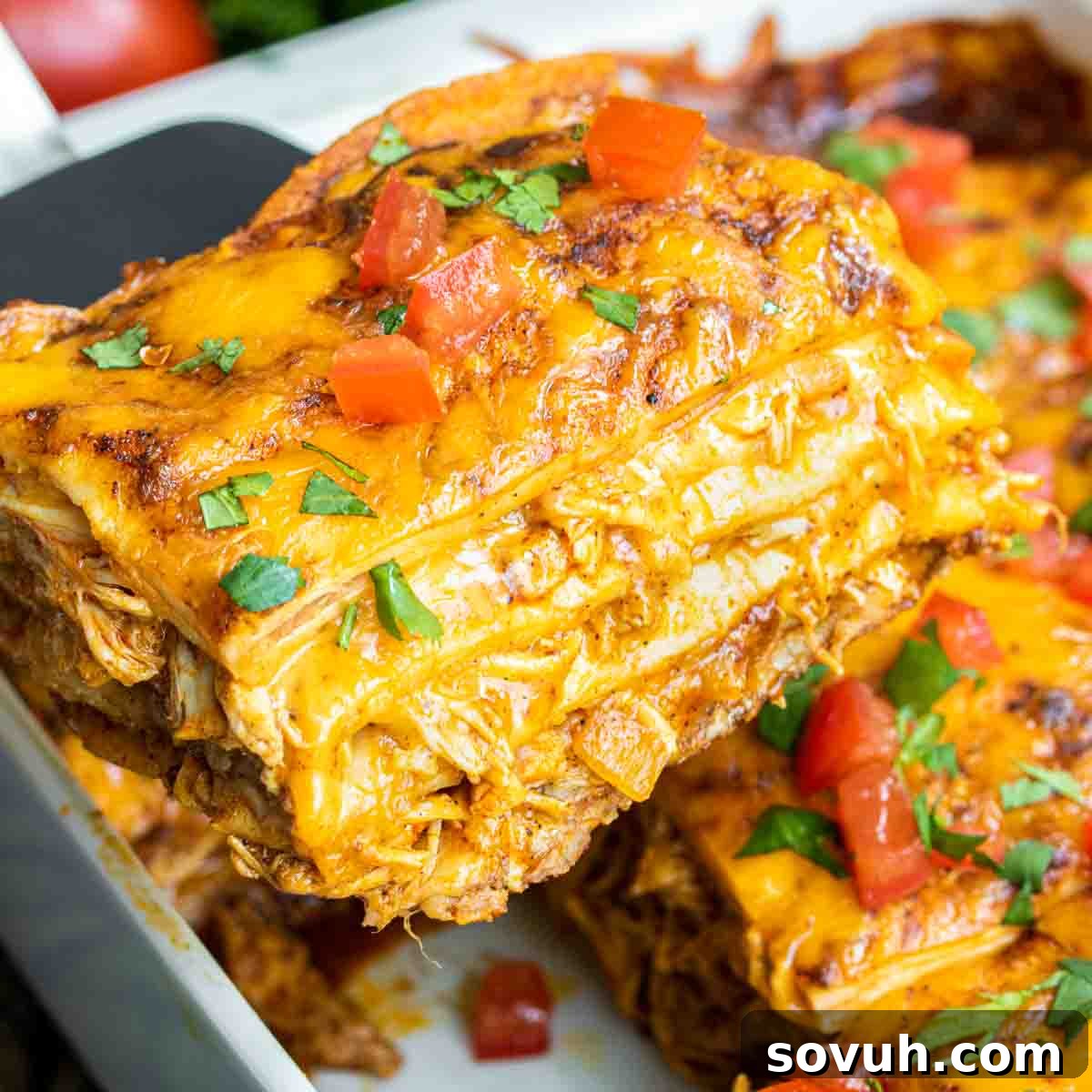 Slice of chicken enchilada casserole being served