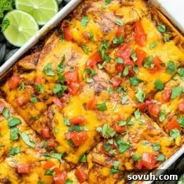 top down shot of chicken enchilada casserole recipe in a dish