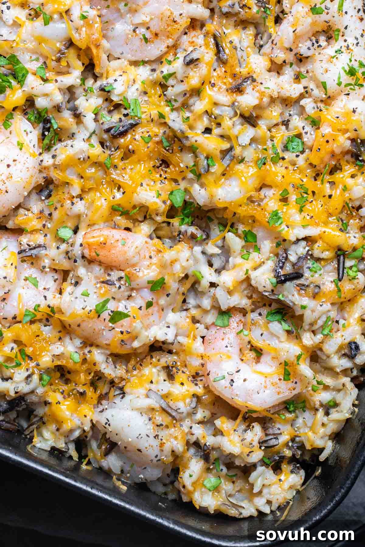 Shrimp Casserole with wild rice in black dish, ready to eat