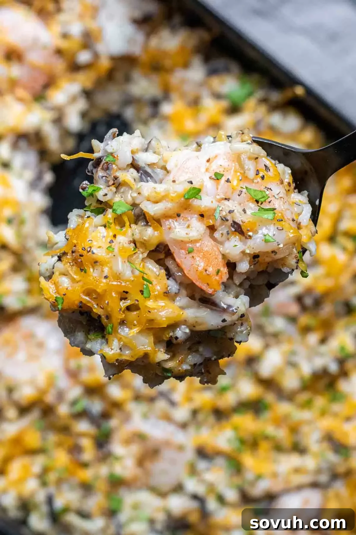 Shrimp Casserole with wild rice in black spoon, showing a spoonful ready to eat