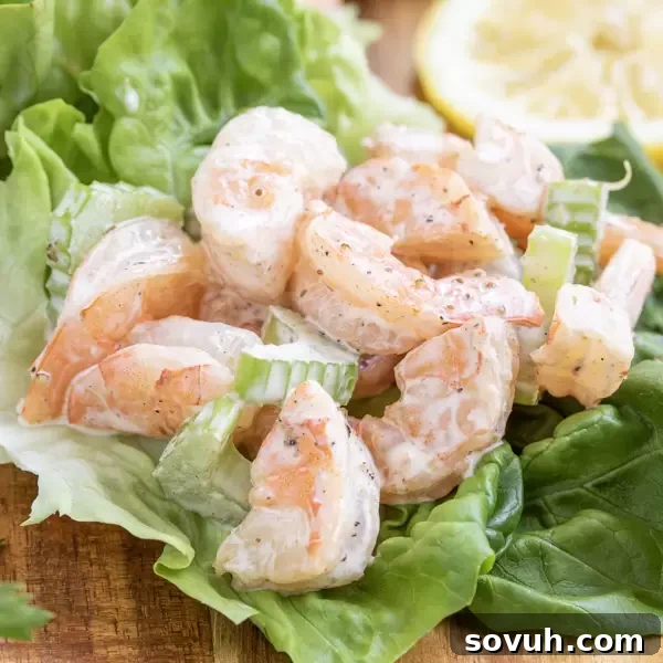 Shrimp Salad in a lettuce cup