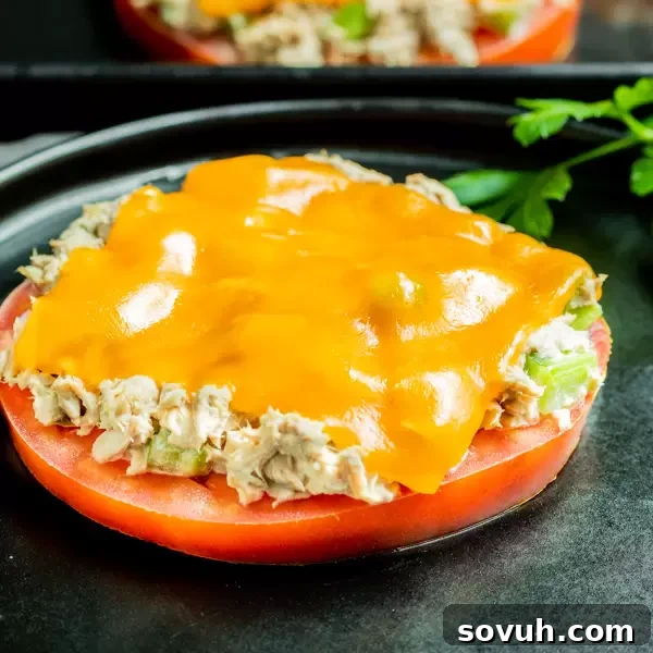 Keto Tuna Melt is an easy low carb lunch recipe
