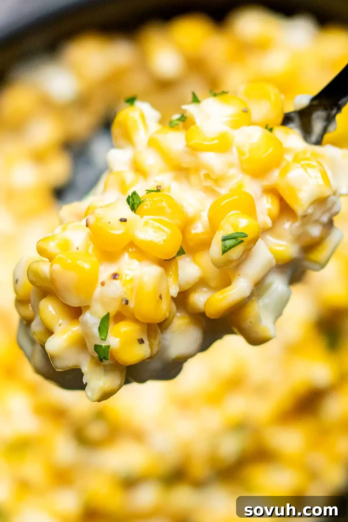 A close-up of creamy corn on a black spoon, ready to be enjoyed.