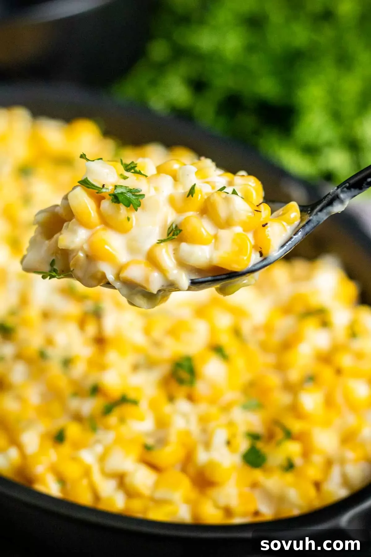 A spoonful of homemade Creamed Corn, showcasing its rich, creamy texture and vibrant corn kernels.