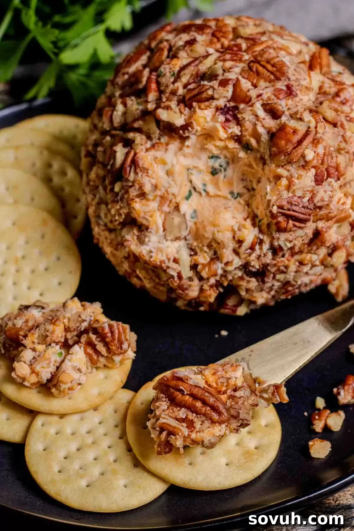 A cheese ball with pecans and crackers on a plate, ready for a gathering.