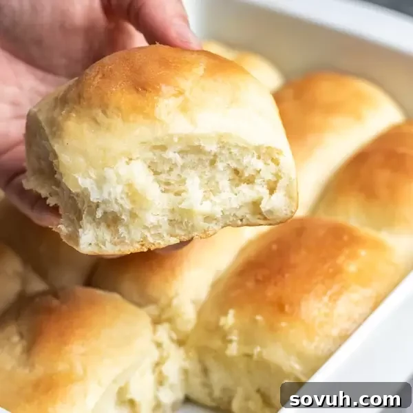Soft, fluffy, and golden brown Overnight Refrigerator Yeast Rolls, perfect for any holiday feast.