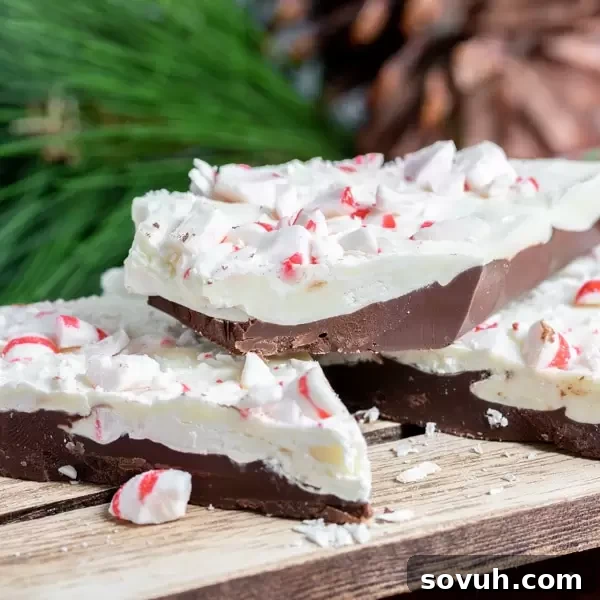 Delicious Homemade Peppermint Bark layered with dark and white chocolate and crushed candy canes, perfect for Christmas gifting.
