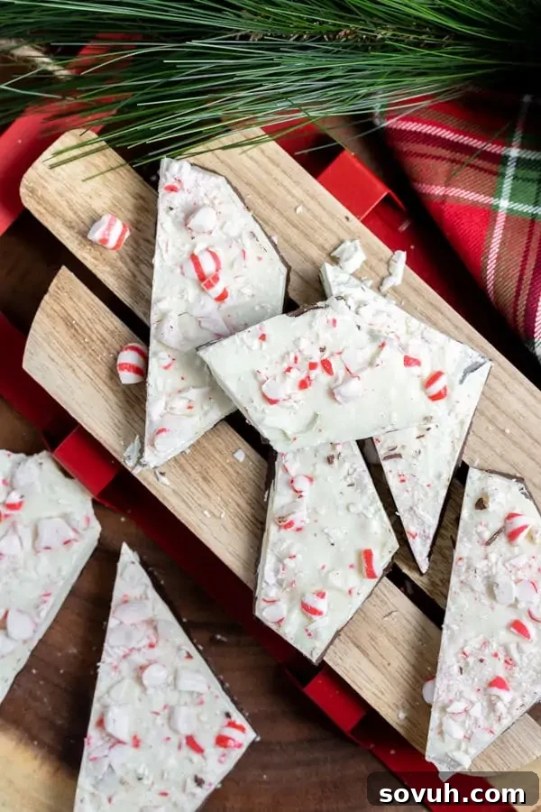 Close-up of freshly made Peppermint Bark, showcasing the distinct layers of dark and white chocolate with vibrant red and white peppermint pieces.