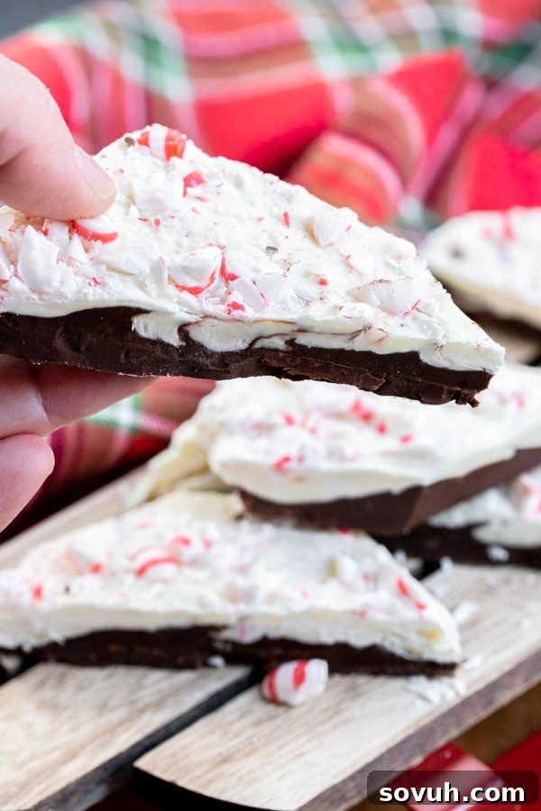 Beautifully packaged homemade Peppermint Bark, showcasing its festive appeal as a holiday gift.
