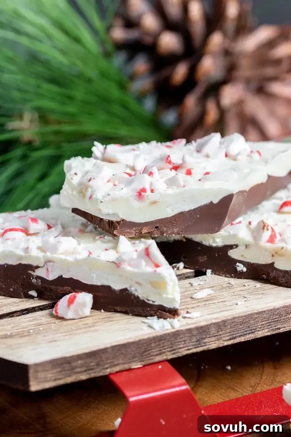 Perfectly layered Peppermint Bark with visible dark and white chocolate and crushed peppermint, ready for the holidays.