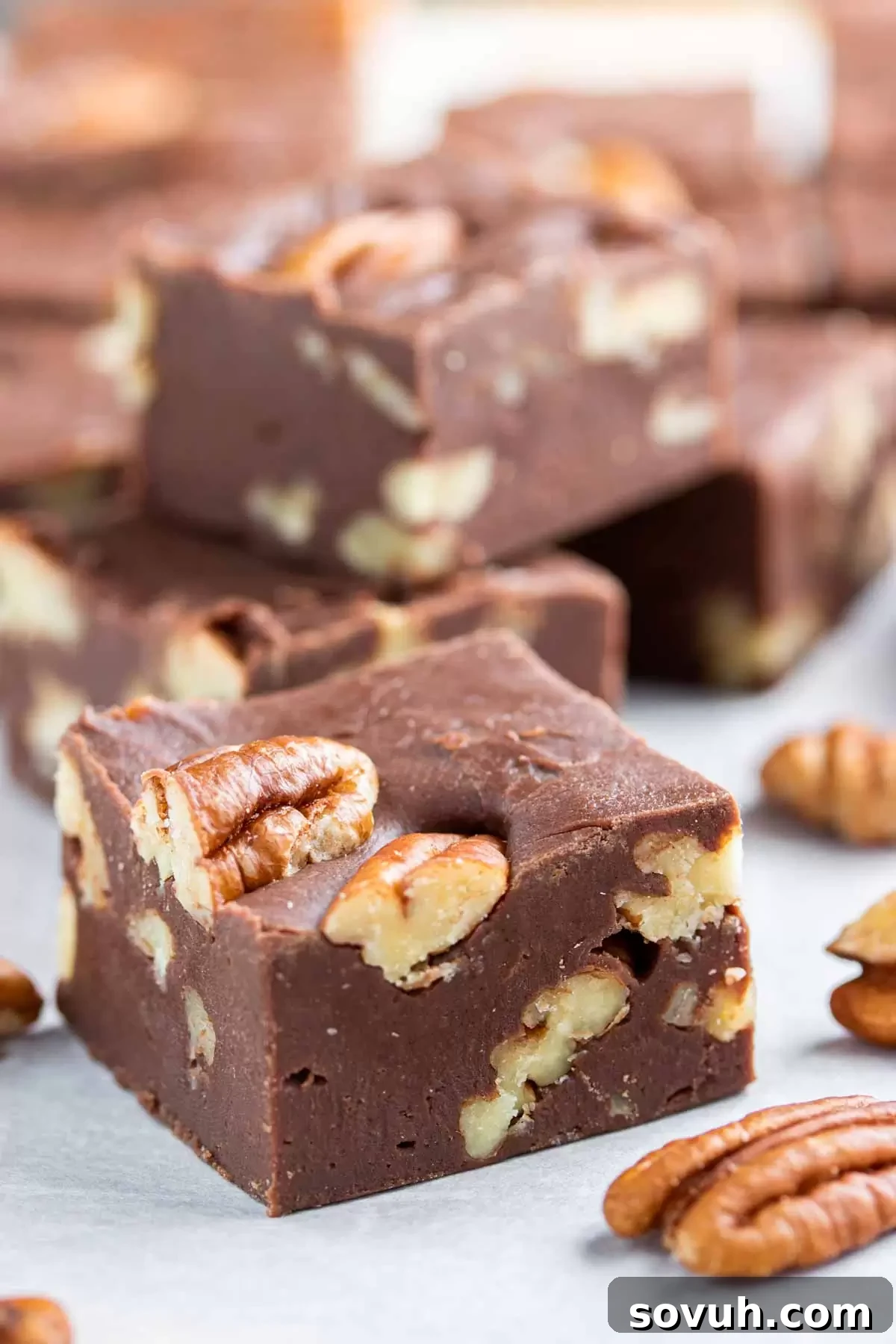 pecans in Easy Microwave Fudge