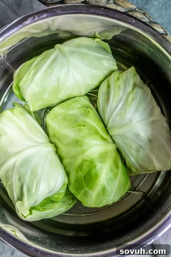 Keto Instant Pot Cabbage Rolls with a head of cabbage ready to be prepared in the instant pot for softening.