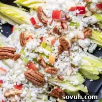 Endive Salad with pecans