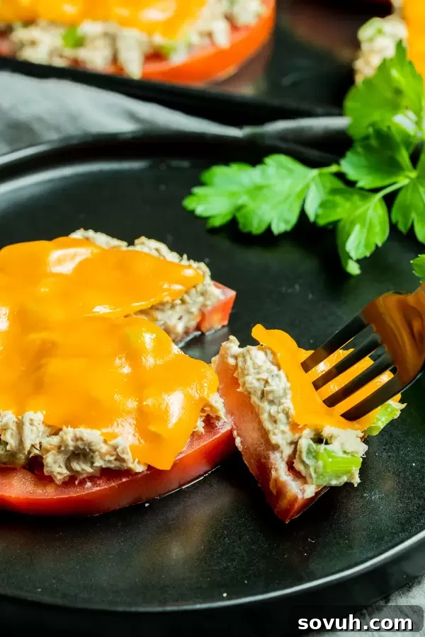 Finished Keto Tuna Melt, a quick and delicious low carb recipe.