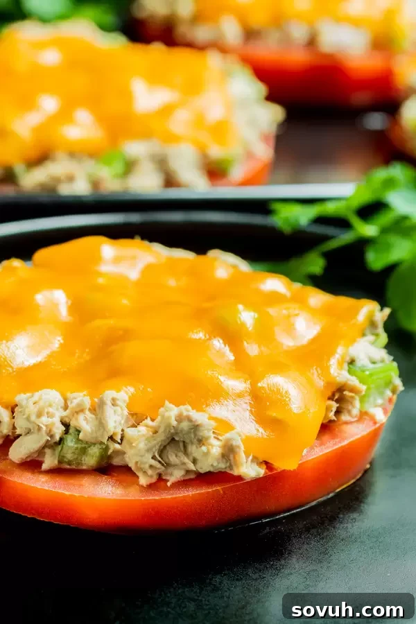 Keto Tuna Melt is a quick and healthy keto recipe option.
