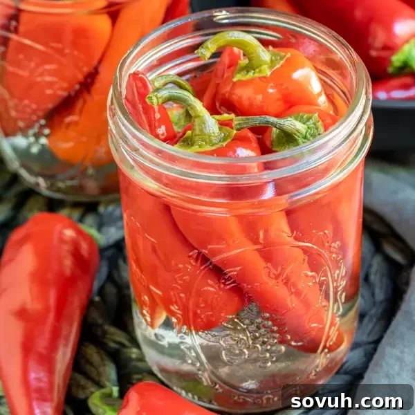 Homemade Hot Pepper Sauce in a jar, a traditional Southern recipe.