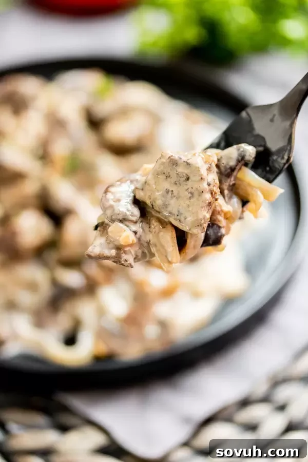 Keto Beef Stroganoff on a fork with low carb pasta