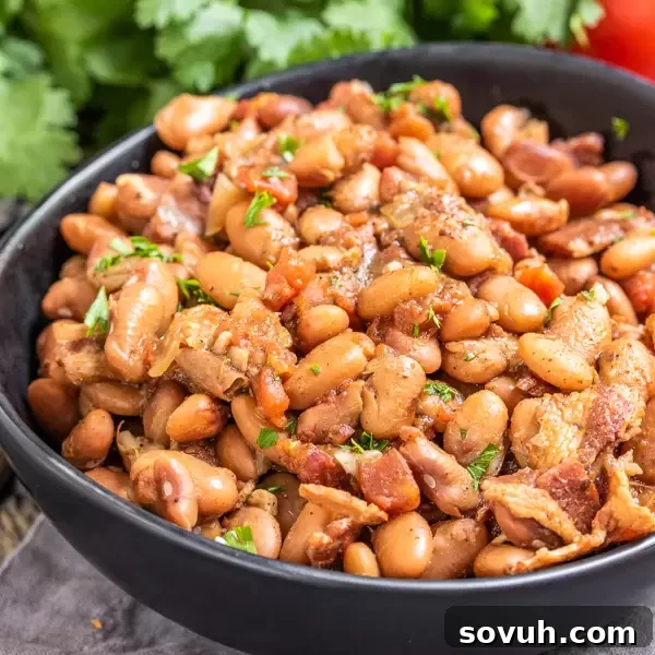 A bowl of Instant Pot Pinto Beans, garnished and ready to serve, highlighting its delicious appearance as an easy Fall side recipe.