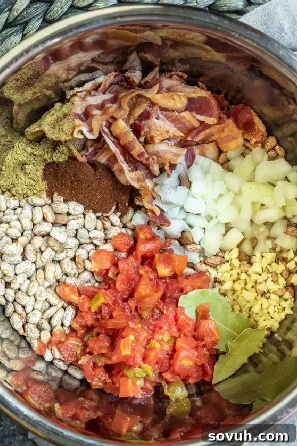 Close-up shot of all the fresh ingredients laid out, including dried pinto beans, bacon, onion, and spices, ready for making Instant Pot Pinto Beans.