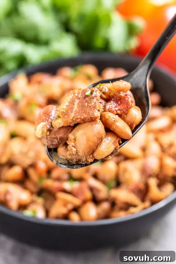 A hearty bowl of Instant Pot Pinto Beans, garnished with fresh cilantro, ready to be enjoyed as a comforting food recipe for Fall.