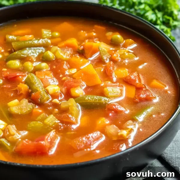 healthy Instant Pot Vegetable Soup