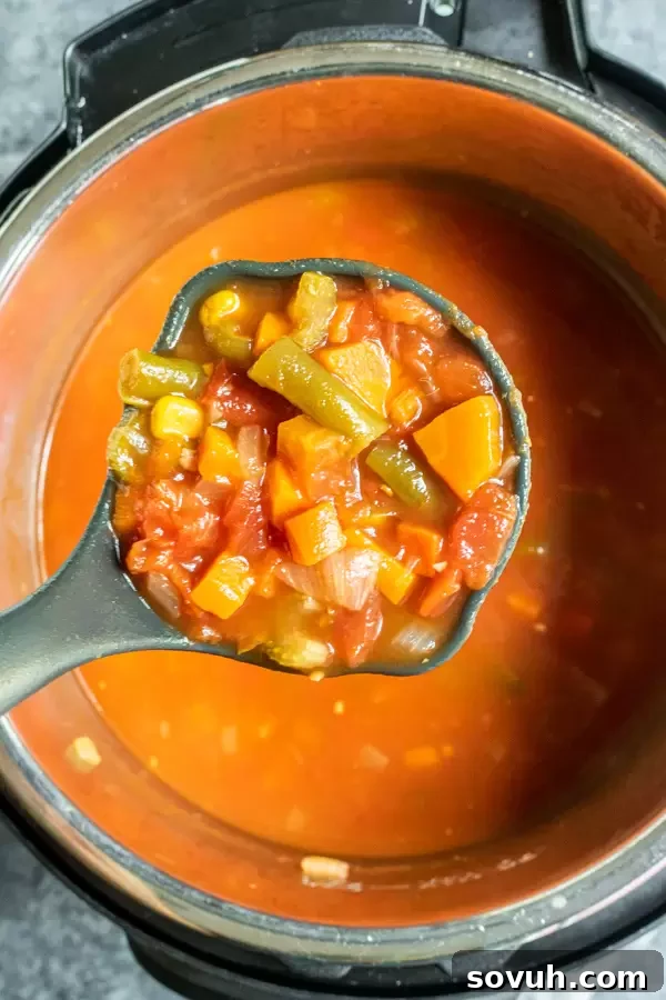 ladle full of Instant Pot Vegetable Soup in instant pot