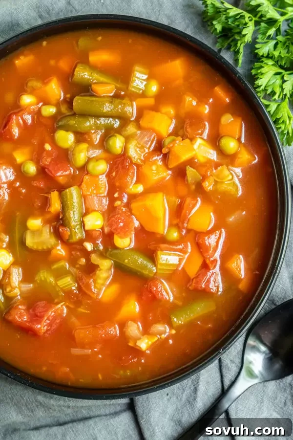 Instant Pot Vegetable Soup perfect Winter soup recipe made in a pressure cooker