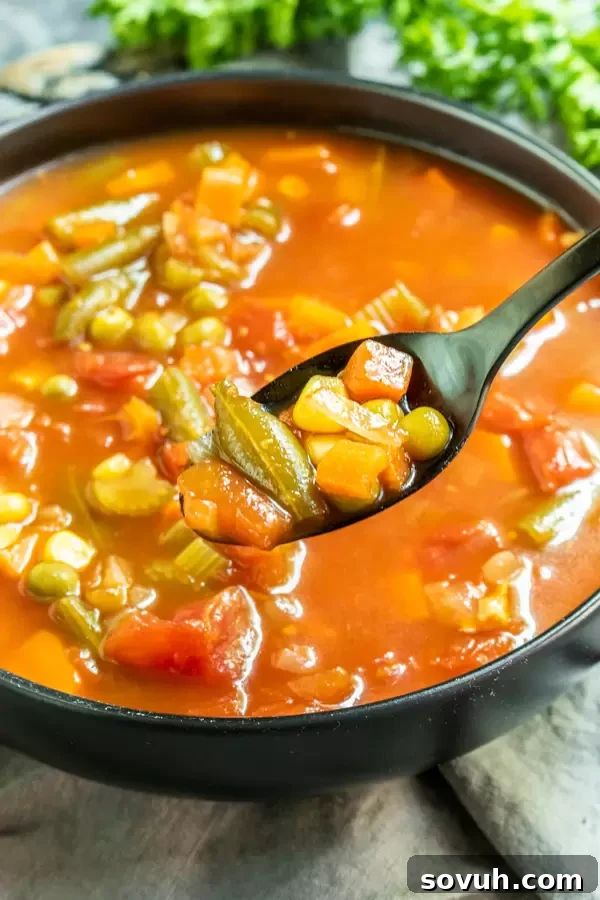 Instant Pot Vegetable Soup is an easy Fall Instant Pot recipe