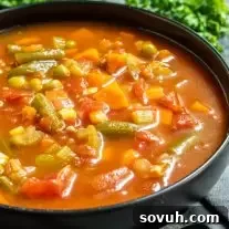 healthy Instant Pot Vegetable Soup