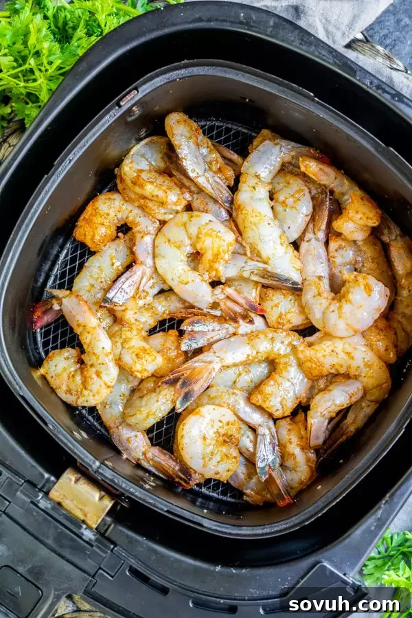 Seasoned raw shrimp arranged in an air fryer basket