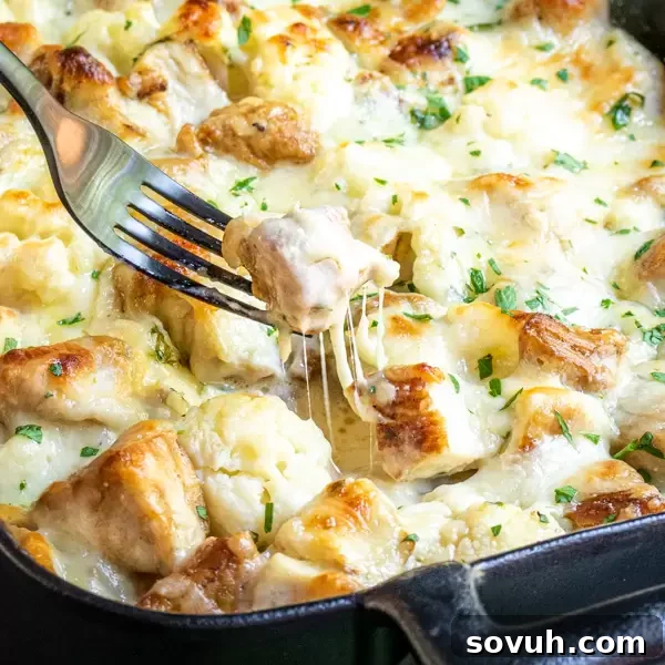 Cheesy Keto Chicken Alfredo Casserole baked to golden perfection, ready to serve.