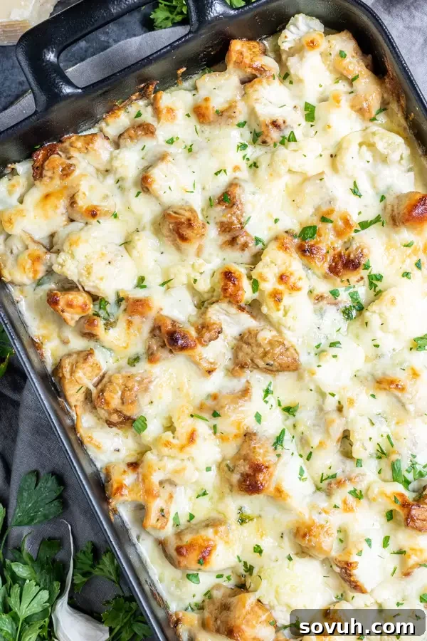 Keto Chicken Alfredo Casserole garnished with fresh parsley, ready to be served.