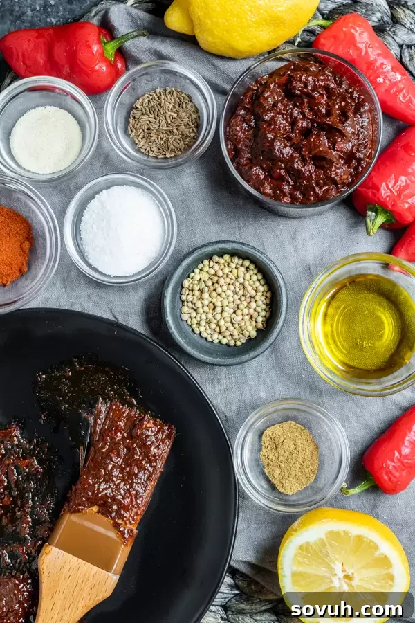 All the fresh and dried ingredients meticulously laid out, ready for preparation of homemade Harissa Paste.
